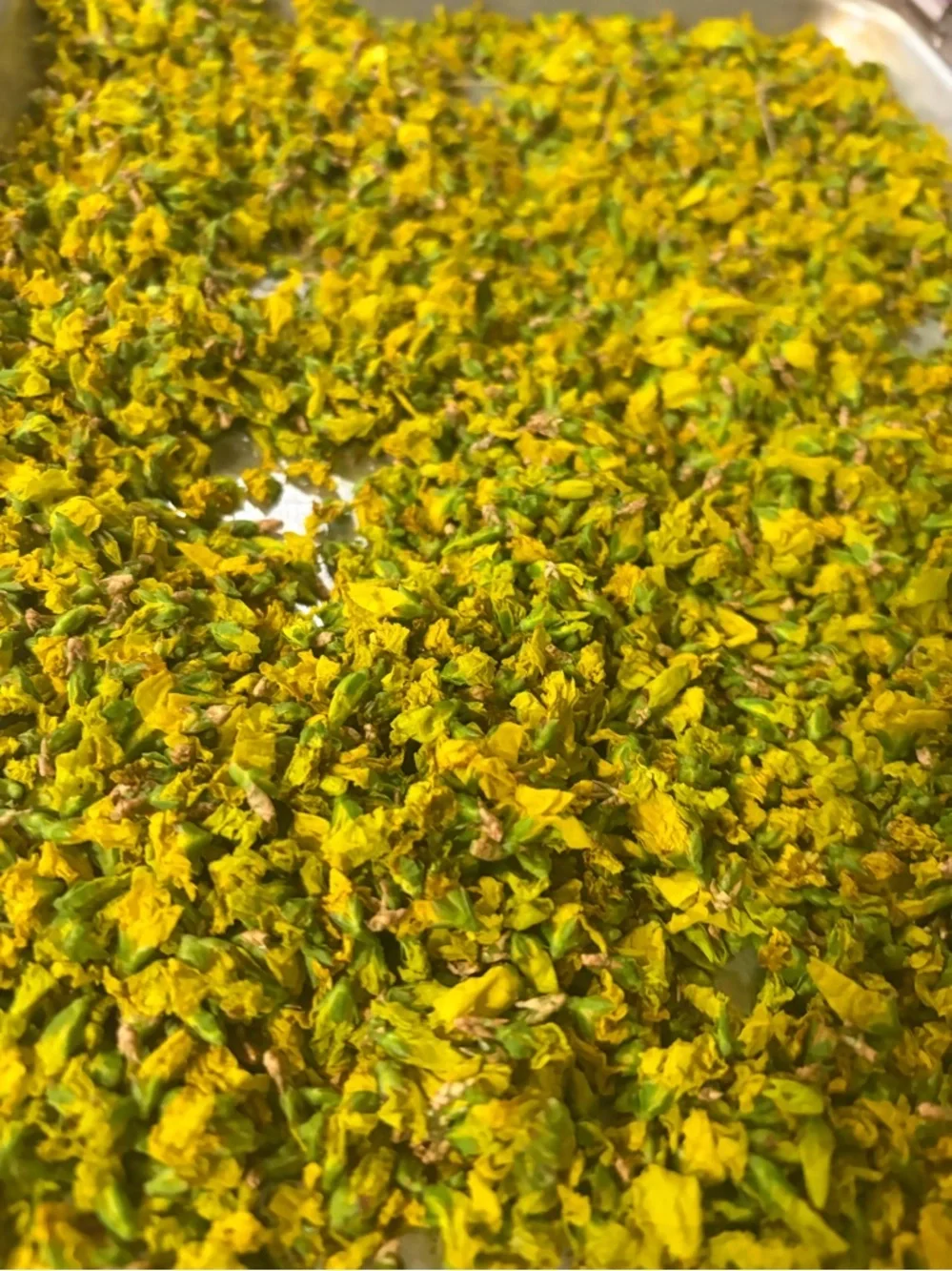 Forsythia Herbal Tea | Seasonal Botanical Brew | Gentle Floral Flavor